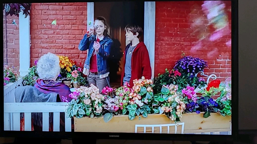 GIF uploaded by Iuri