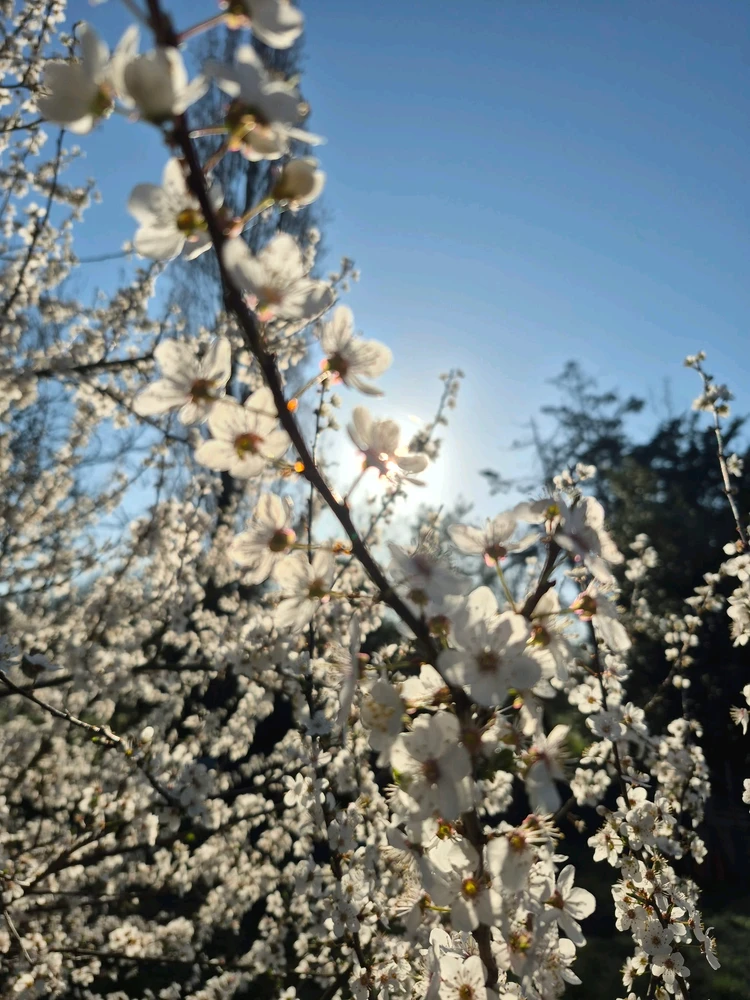 GIF ajouté par Océane