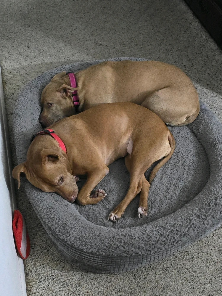 GIF uploaded by StinkyCheese