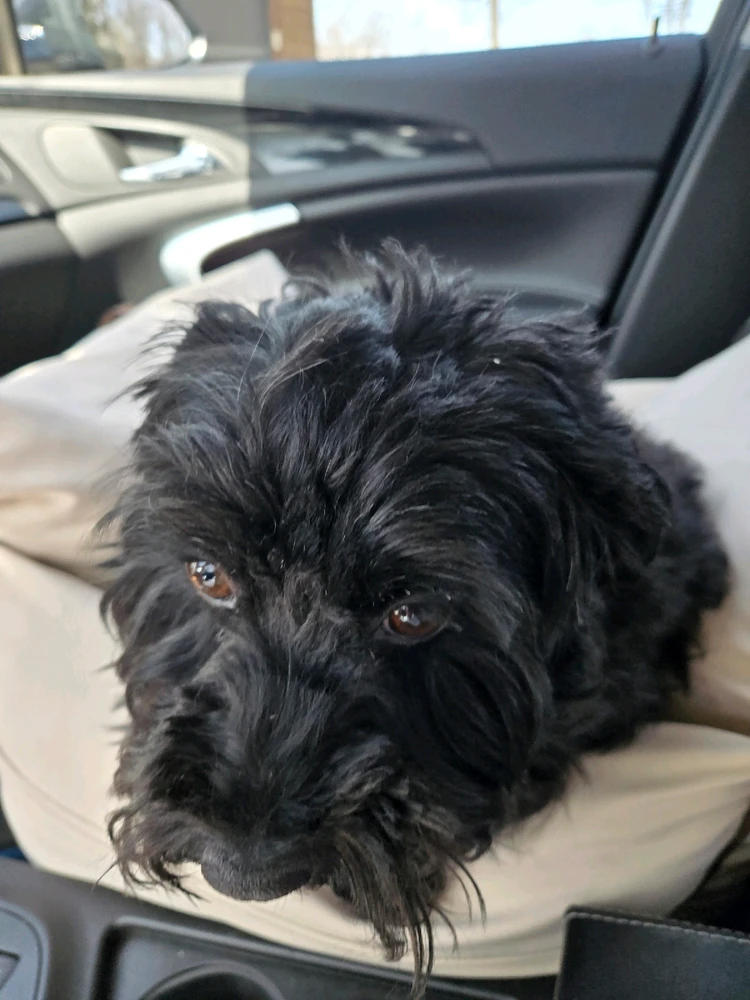 Image uploaded by Luke