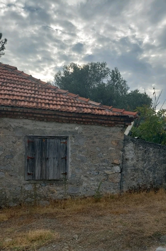 GIF uploaded by Thomas Anderson