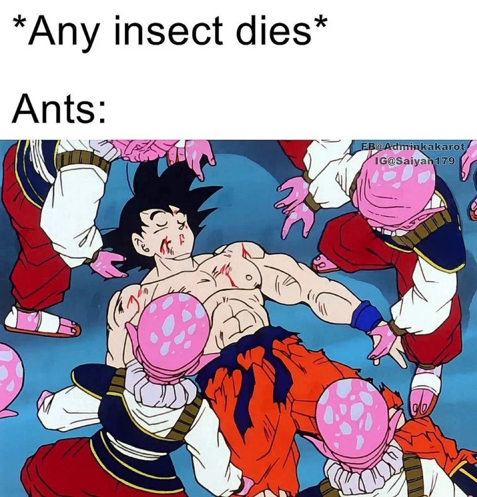 GIF uploaded by Rene