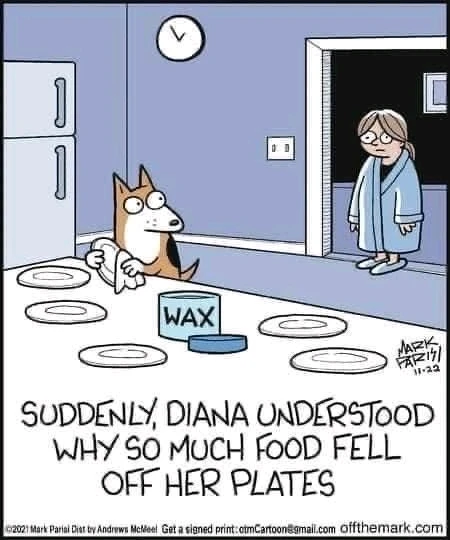 GIF uploaded by Martin