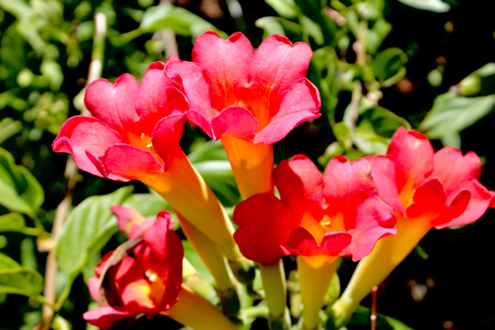 GIF uploaded by David