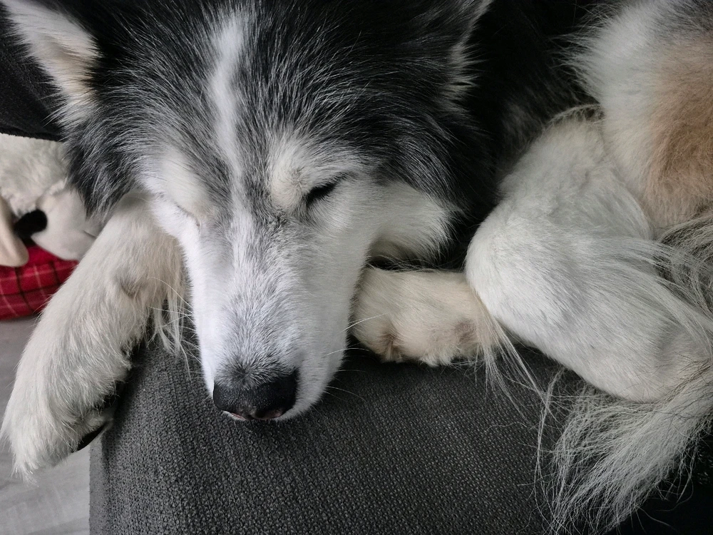 Image uploaded by Victoria