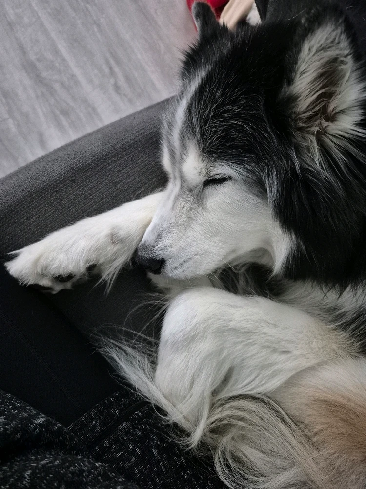 Image uploaded by Victoria