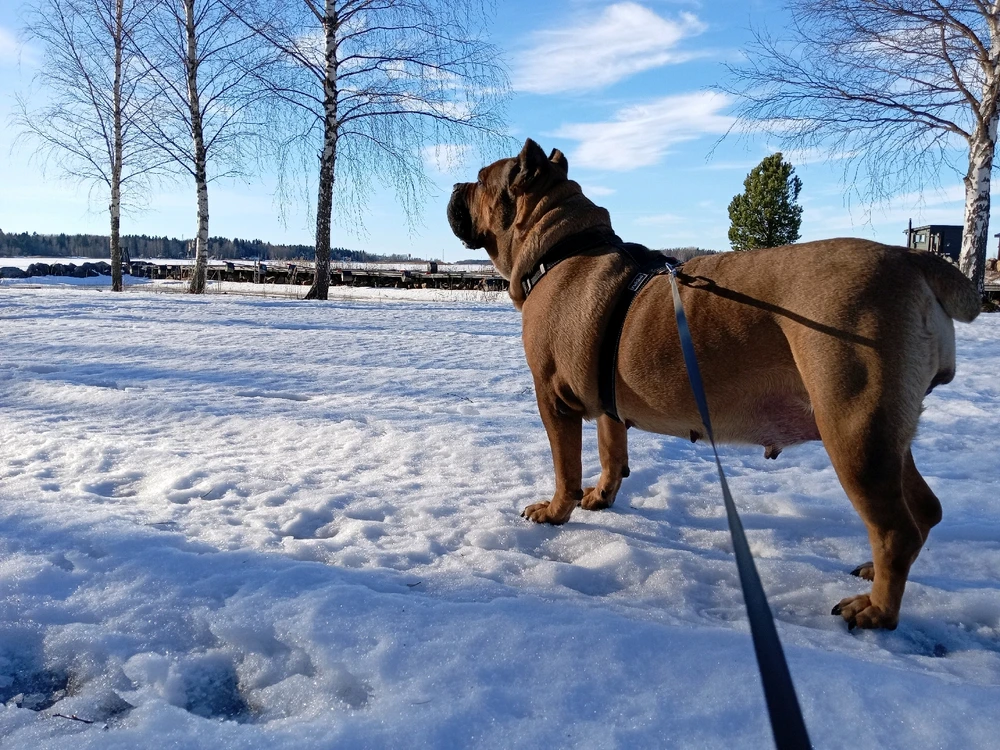 GIF uploaded by Aleks