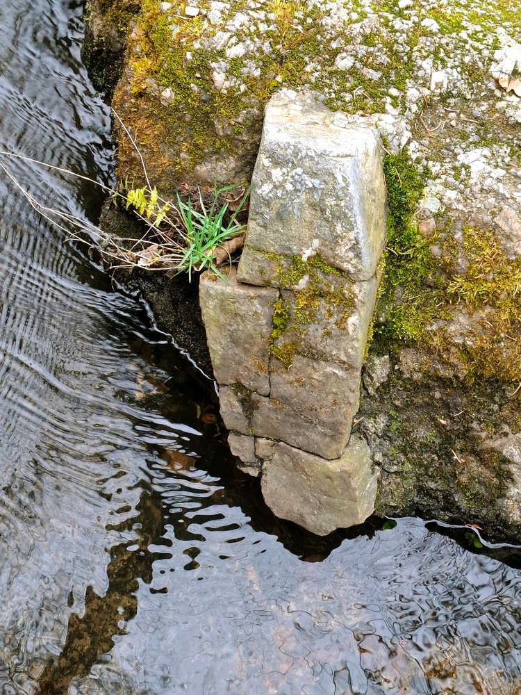 Obrázek nahrál ©️Iva 🦉