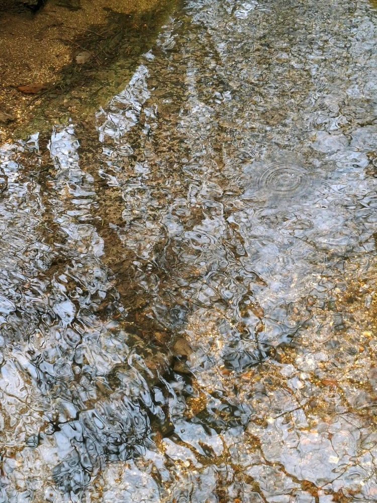 Obrázek nahrál ©️Iva 🦉