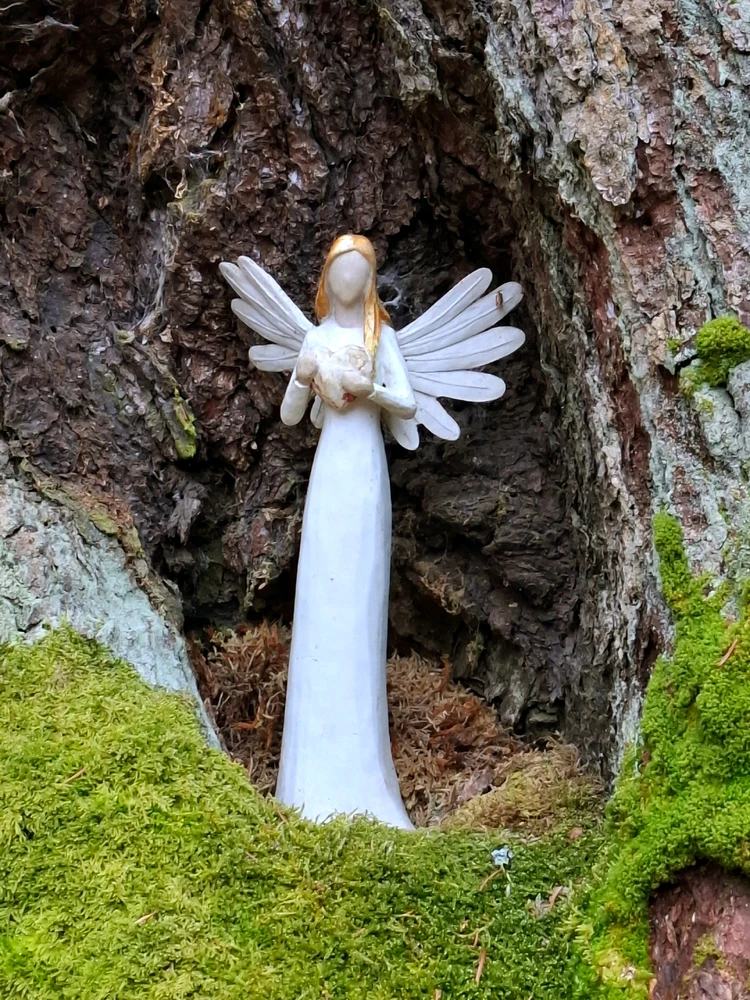 Obrázek nahrál ©️Iva 🦉