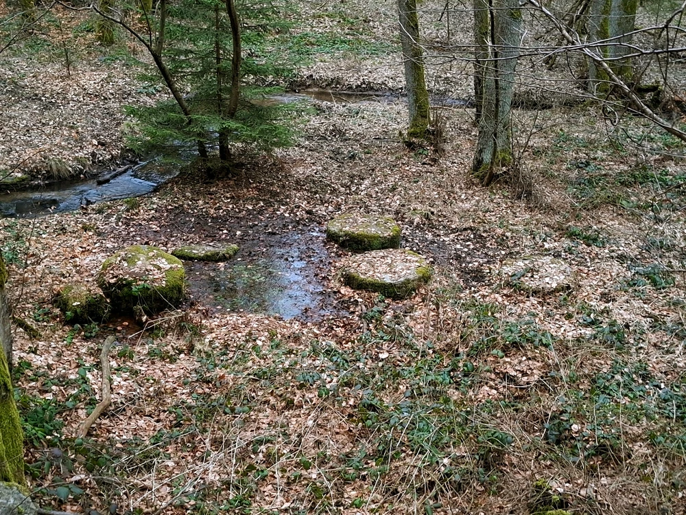 Obrázek nahrál ©️Iva 🦉