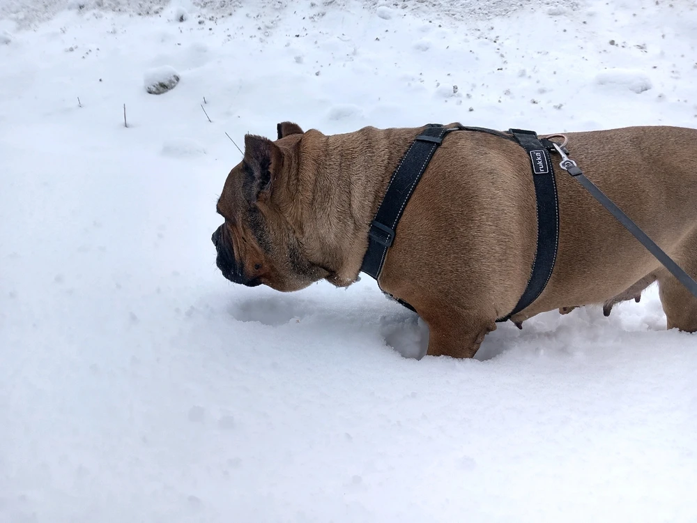 Image uploaded by Aleks