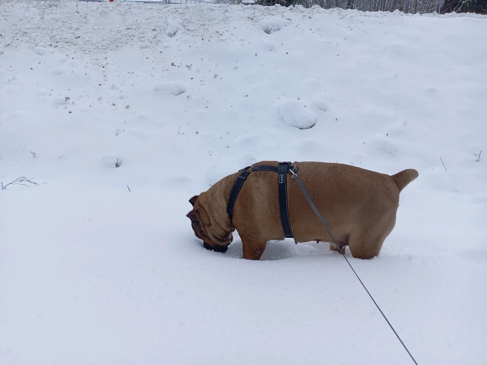 Image uploaded by Aleks