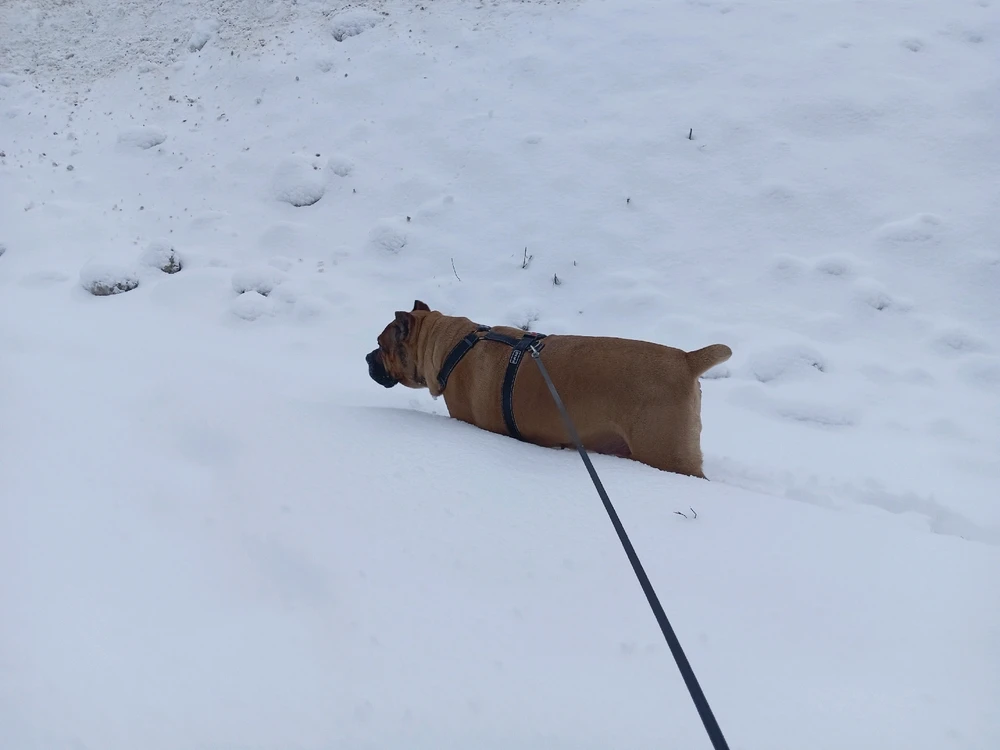 Image uploaded by Aleks