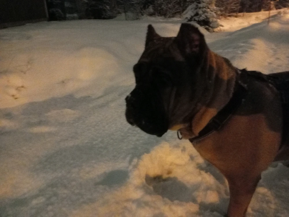 Image uploaded by Aleks