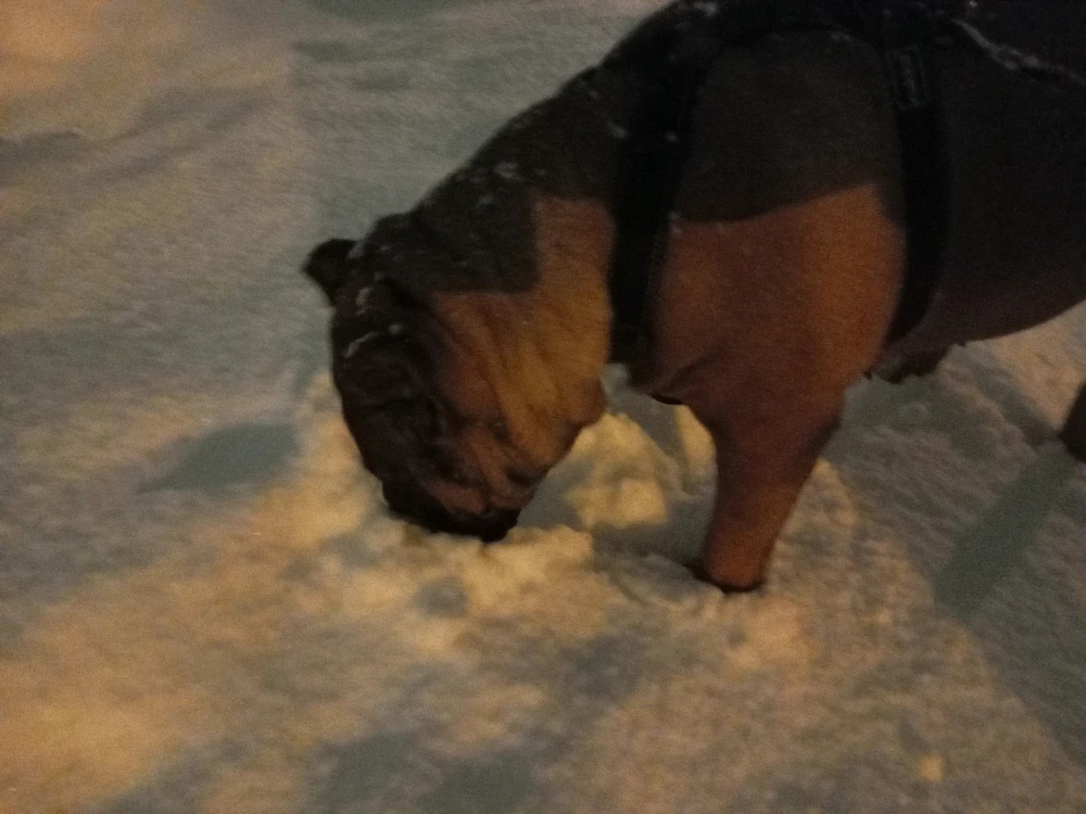 Image uploaded by Aleks