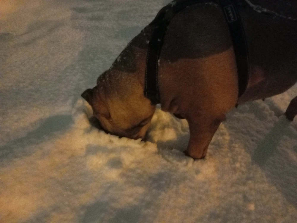 Image uploaded by Aleks