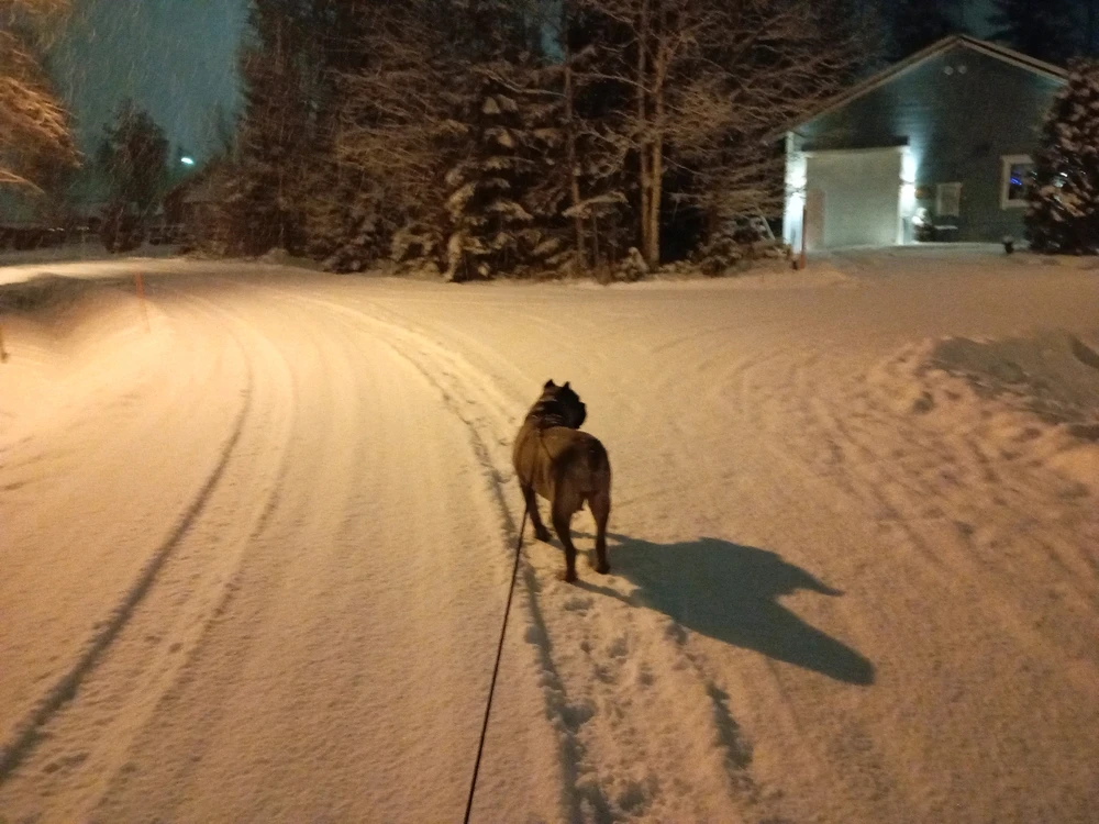 Image uploaded by Aleks