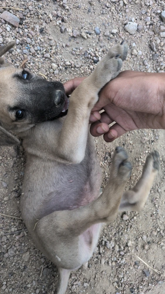 Image uploaded by Ray