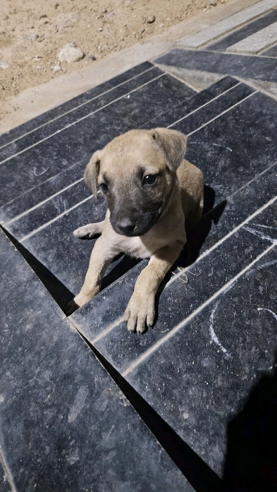 Image uploaded by Ray