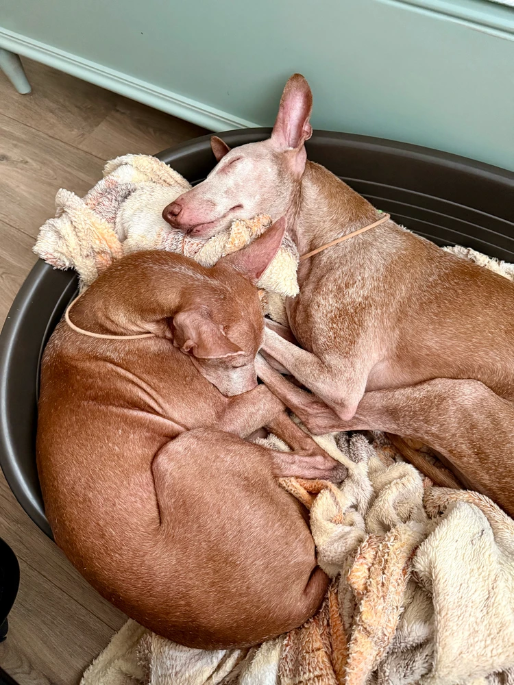 GIF uploaded by Alena