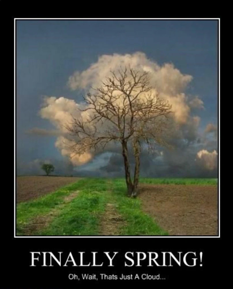 GIF uploaded by Ricarda