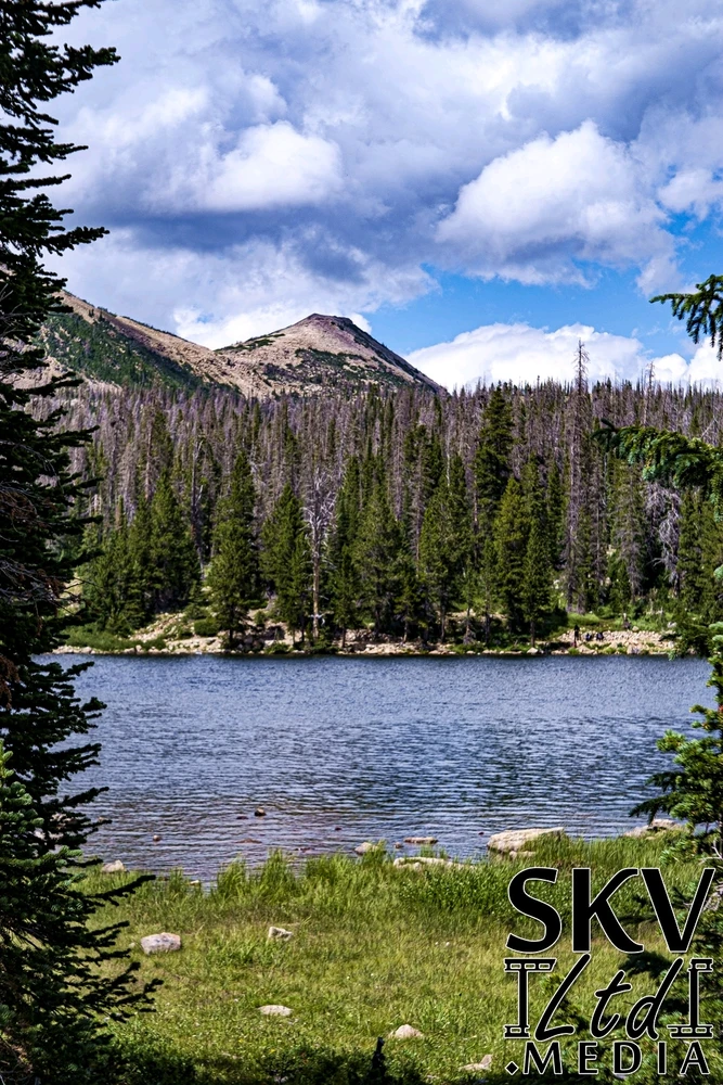 GIF uploaded by Gainer