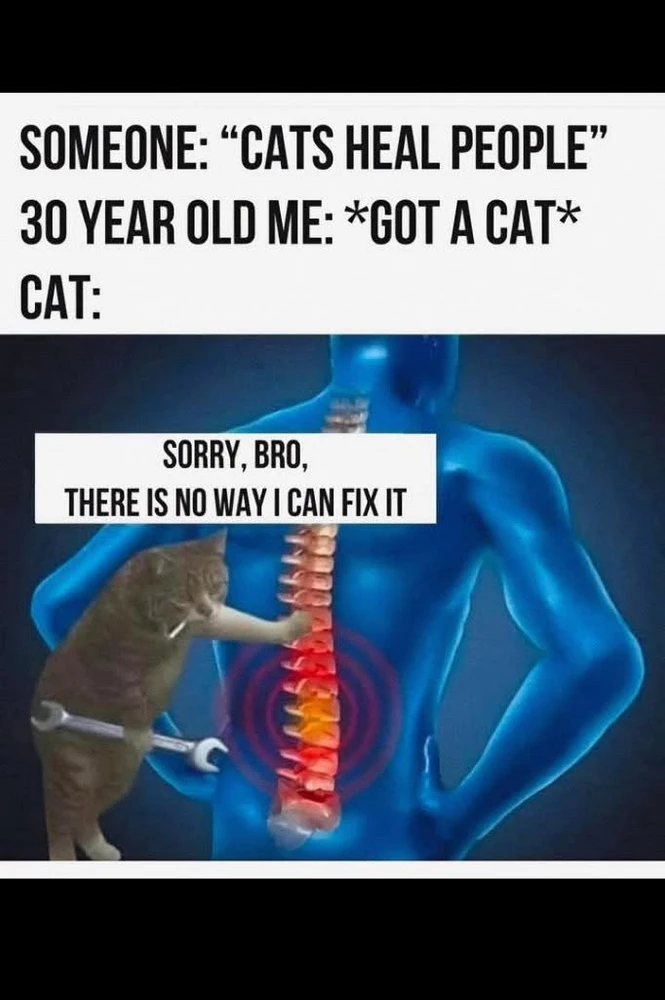 GIF uploaded by Ubaid