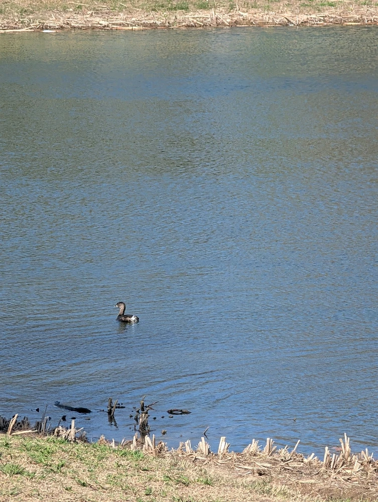 Image uploaded by Raven