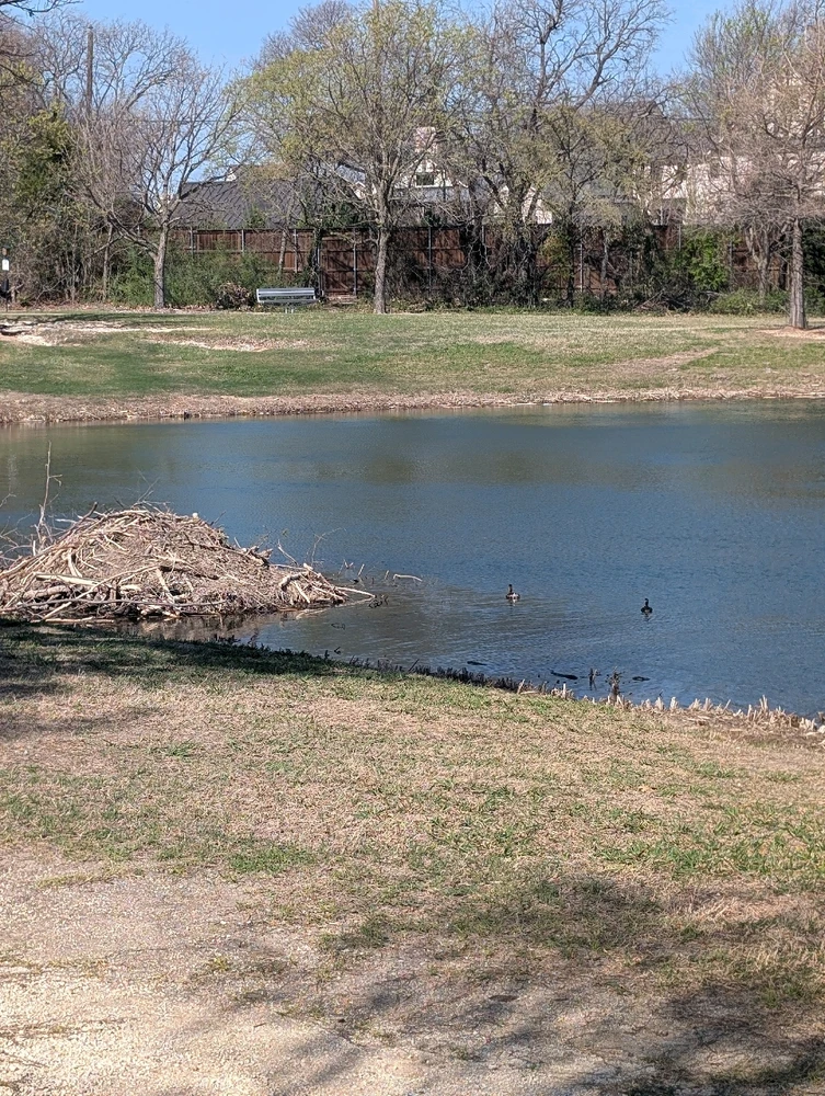 Image uploaded by Raven