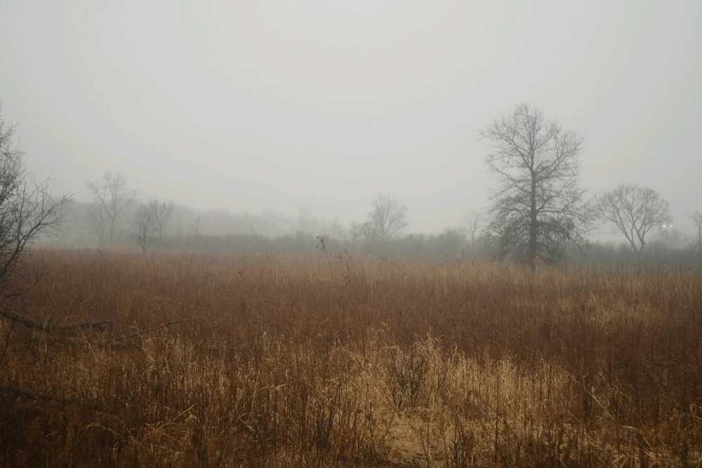 GIF uploaded by Adam