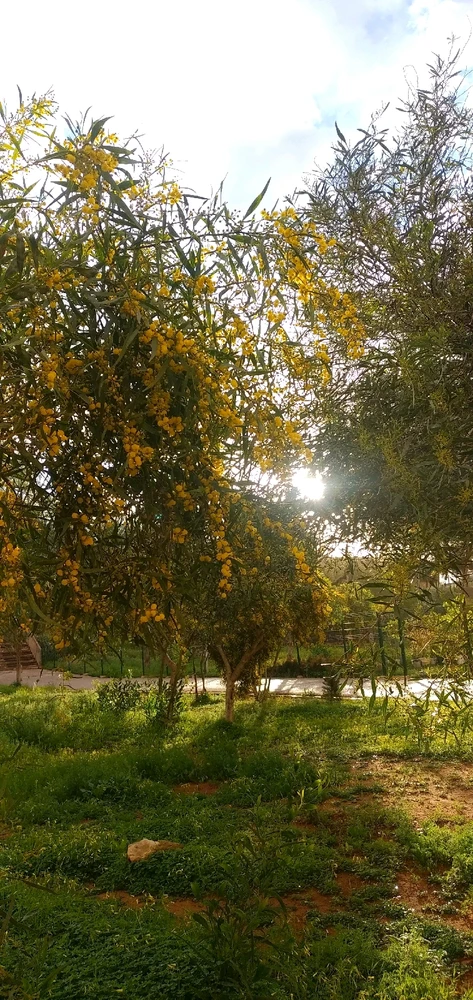 GIF uploaded by Iheb