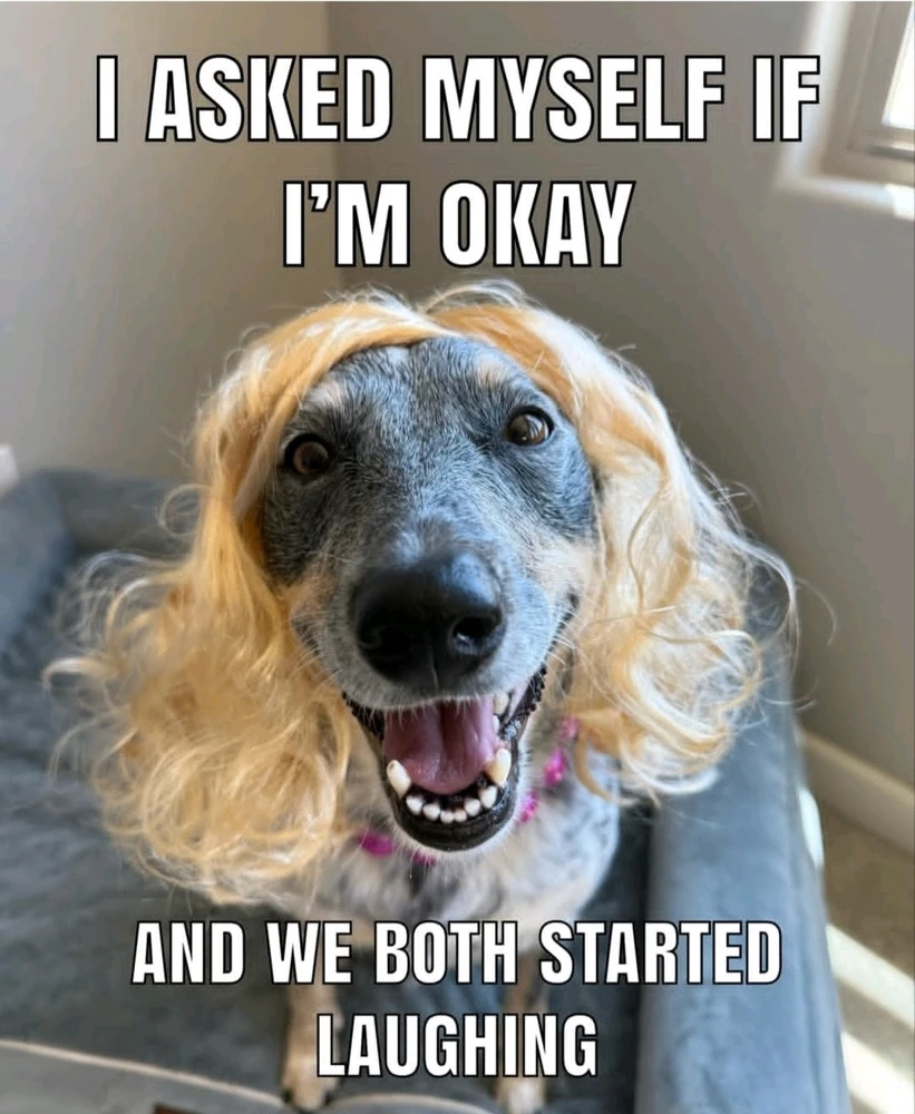 GIF uploaded by Miki