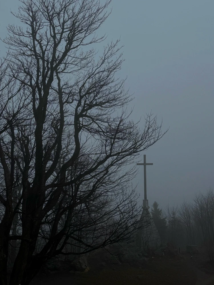 GIF uploaded by Mateusz