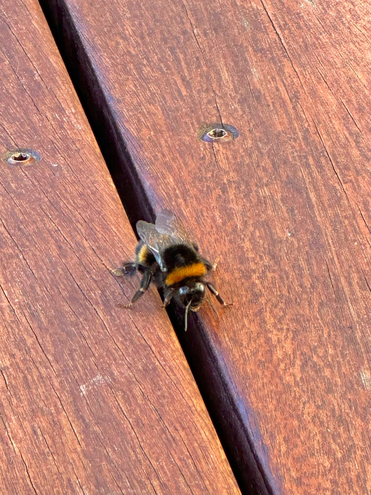 GIF uploaded by Elle