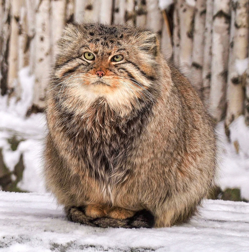 GIF uploaded by Gabriel