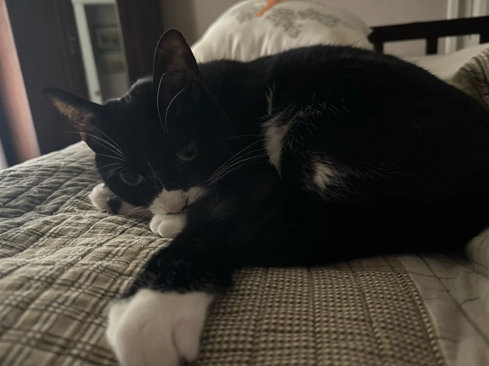 GIF uploaded by Matthew