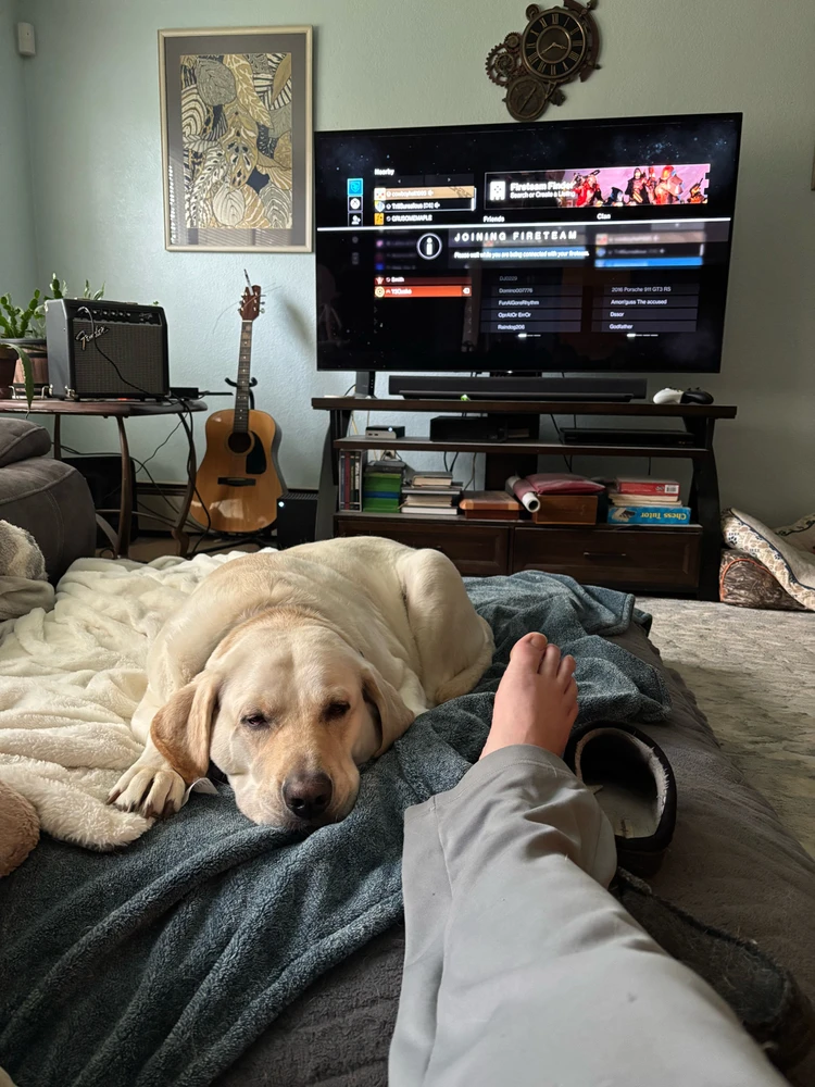 GIF uploaded by Cody