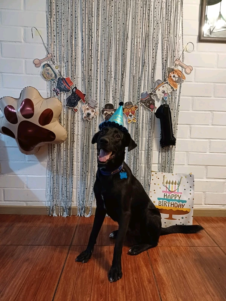 Imagen subida por Carlos