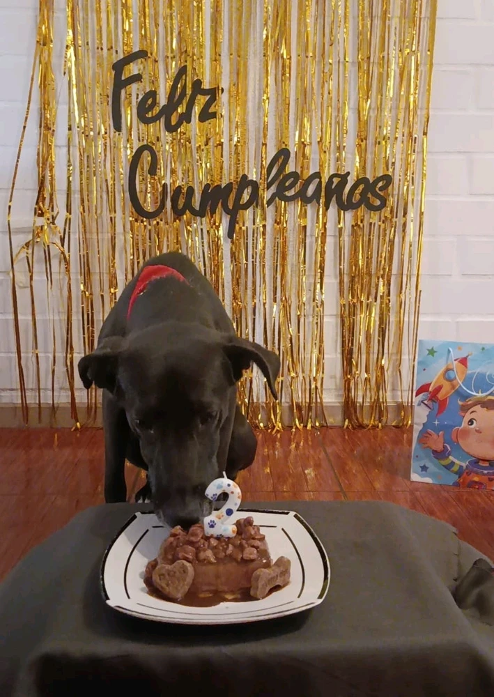 Imagen subida por Carlos