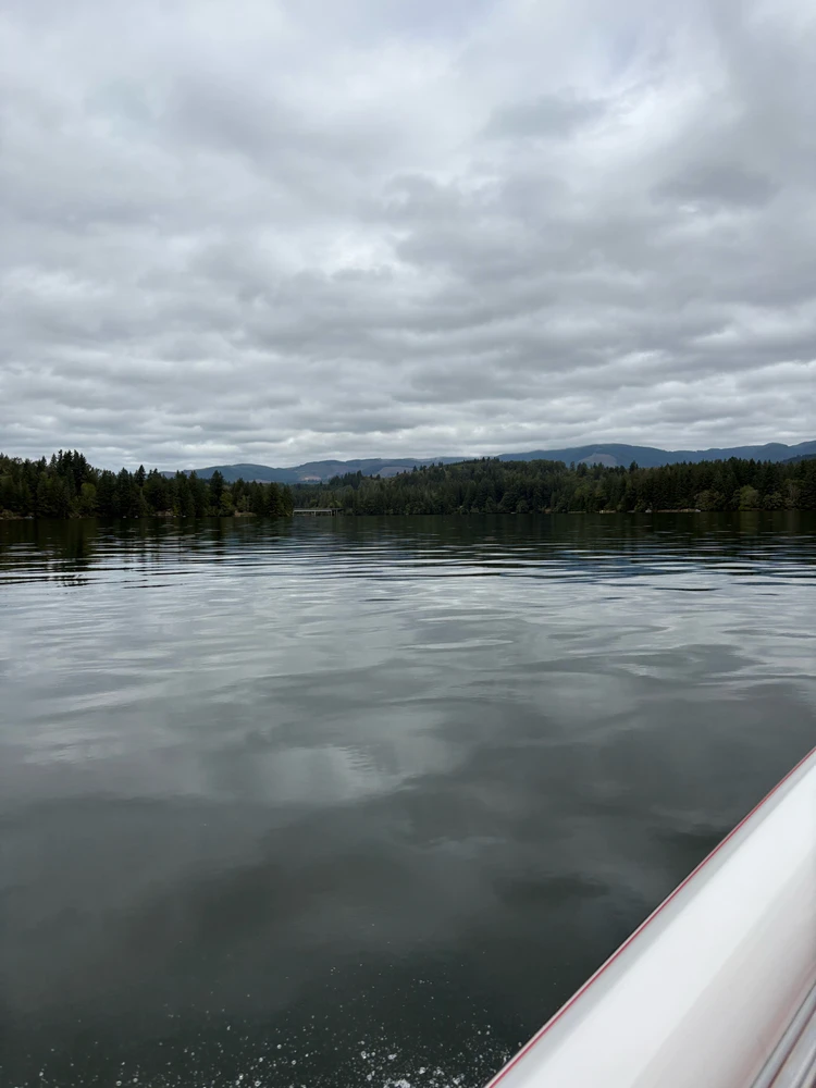 Image uploaded by Chris