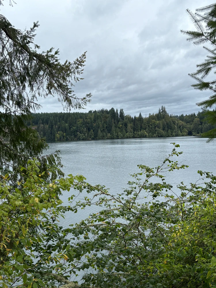 Image uploaded by Chris