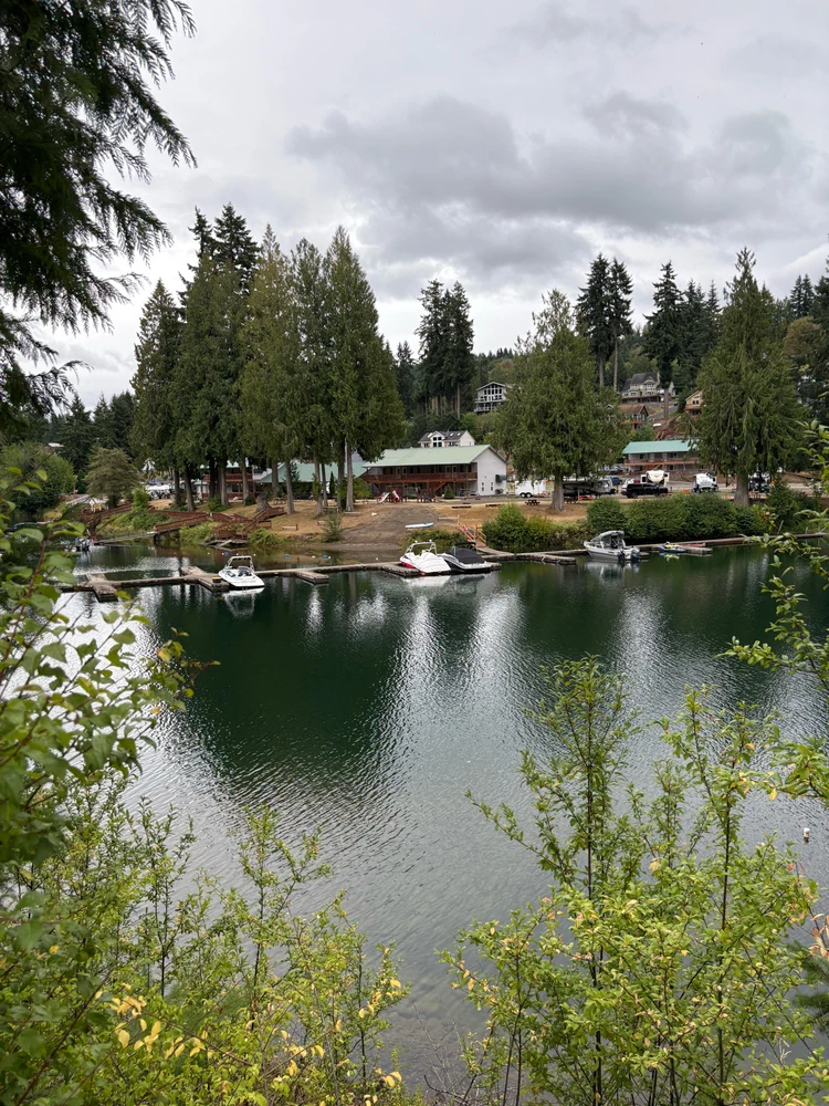 Image uploaded by Chris