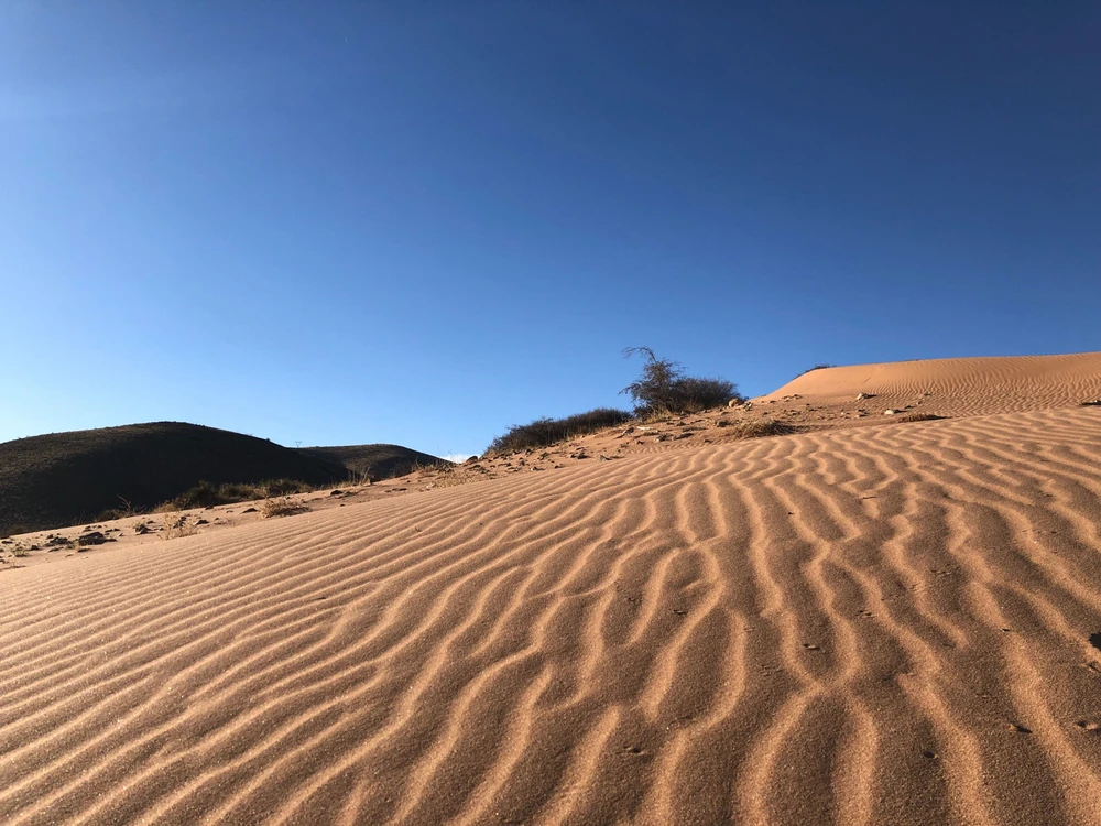 GIF uploaded by Brisby