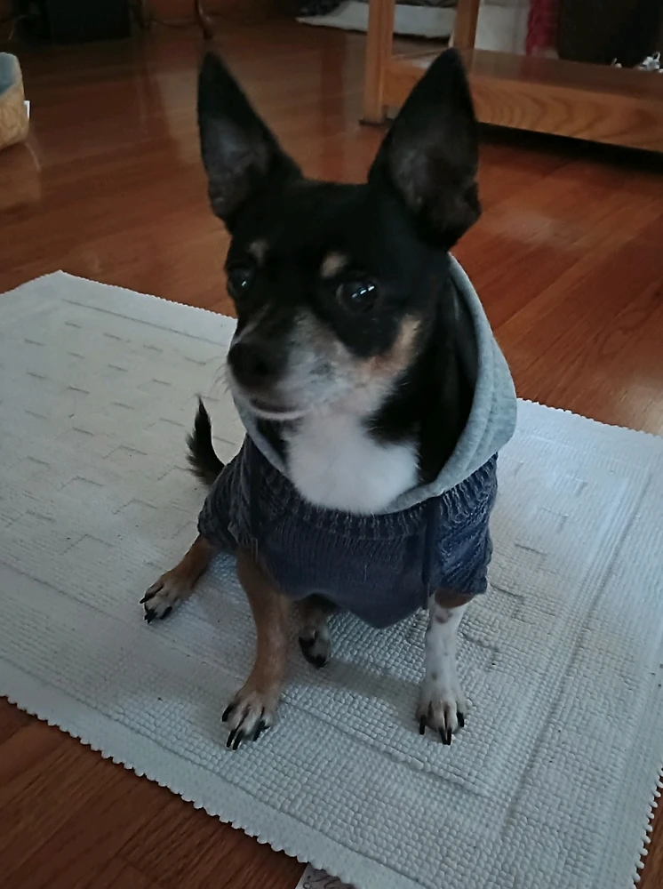 GIF uploaded by Joana