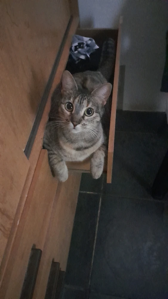 Imagem enviada por Lucas