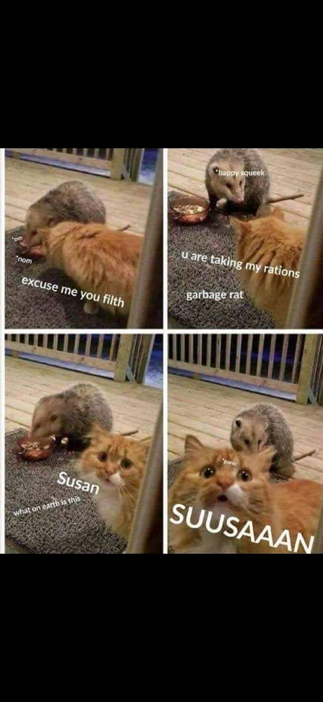 GIF uploaded by Elegy