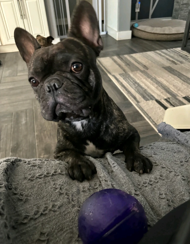 GIF uploaded by Fausto