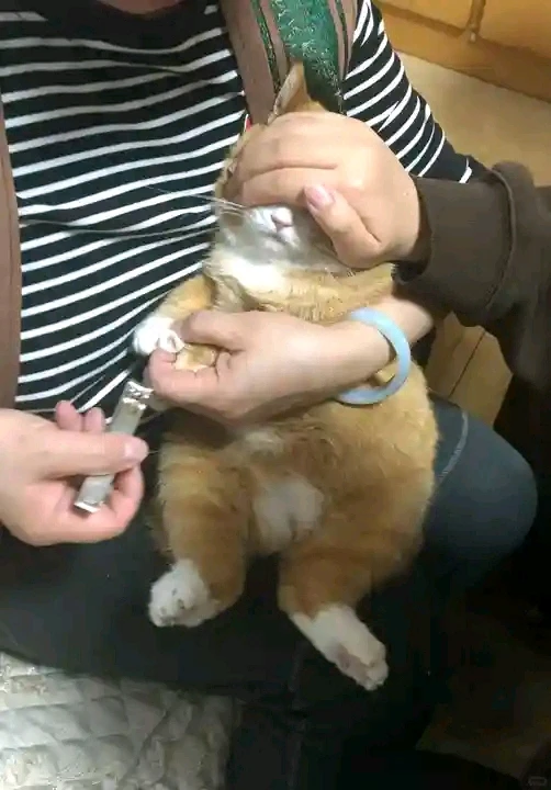 GIF uploaded by Dragoness