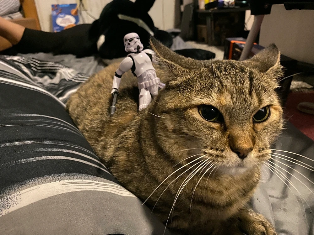 Image uploaded by Leon